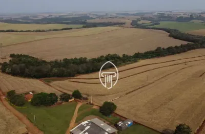 Fazenda à venda, 102 alqueires paulistas por r$ 45.000.000 - zona rural - londrina/pr