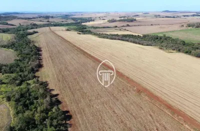 Fazenda à venda, 110 alqueires por r$ 38.500.000 - zona rural - cornélio procópio/pr