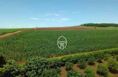 Fazenda à venda, 50 alq. por r$ 15.000.000 - bela vista do paraíso/pr
