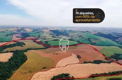 Fazenda à venda, 73 alqueires por r$ 23.000.000 - zona rural - cascavel/pr