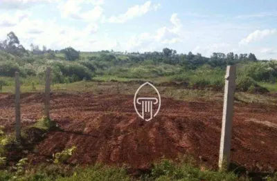 Terreno à venda, 4250 m² por r$ 350.000,00 - jataizinho  - jataizinho/pr