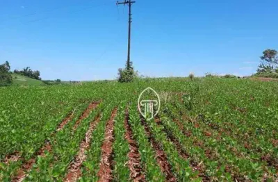 Sítio à venda, 10 alqueires por r$ 2.600.000 - zona rural - assaí/pr