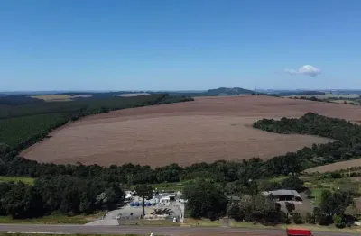 Fazenda à venda, 63,25 alqueires paulistas, por r$ 16.500.000 - ortigueira/pr