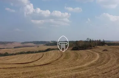 Fazenda à venda, 85 alqueires por r$ 25.650.000 - sertanópolis/pr