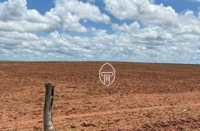 Fazenda à venda, 7100 hectares por r$ 150.000.000 - zona rural - guadalupe/pi