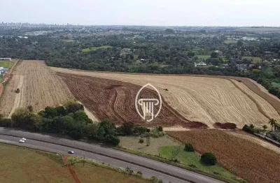 Área à venda, 205700 m² por r$ 14.000.000,00 - parque industrial buena vista - londrina/pr