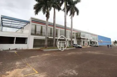 Barracão para alugar, 1800 m² por r$ 34.000,00/mês - jardim tropical - londrina/pr