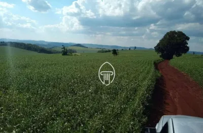 Sítio à venda, 3,7 alqueires por r$ 1.200.000 - zona rural - assaí/pr