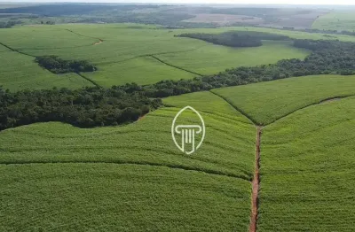 Fazenda à venda, 147,25 alqueires m² por r$ 28.000.000 - zona rural - porecatu/pr