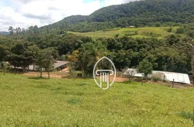 Sítio à venda, 5,5 alqueires por r$ 990.000 - zona rural - tamarana/pr