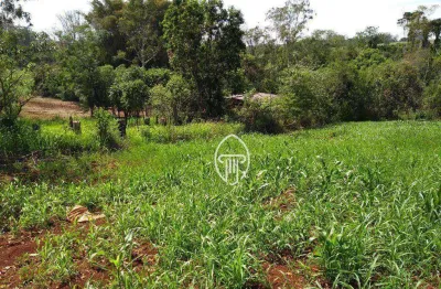 Chácara à venda, 3000 m² por r$ 270.000 - zona rural - londrina/pr