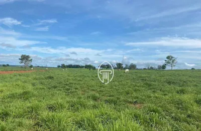 Fazenda à venda, 7.173 hectares por r$ 180.000.000 - zona rural - coxim/ms