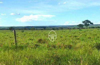Fazenda à venda, 1600 hectares por r$ 50.000.000 - zona rural - coxim/ms