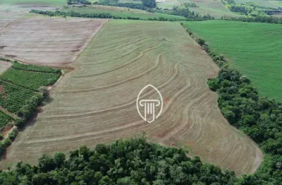 Sítio à venda, 10 alqueires por r$ 3.200.000 - rural - sertanópolis/pr