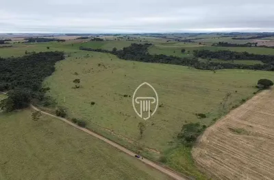 Sítio à venda, 29 alqueires por r$ 4.000.000 - zona rural - janiópolis/pr