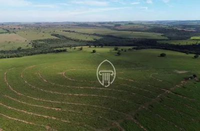 Fazenda à venda, 248 alqueires por r$ 42.000.000 - área rural - cruzeiro do oeste/pr