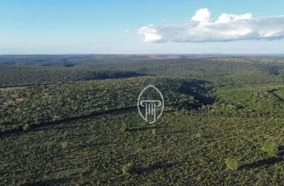 Fazenda à venda, 8340 hectares por r$ 166.800.000 - zona rural - coxim/ms