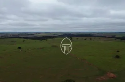 Fazenda à venda, 971 alqueires por r$ 145.650.000 - jardim brasil - cruzeiro do oeste/pr