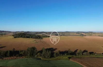 Sítio à venda, 33 alqueires paulistas por r$ 9.900.000 - zona rural - jataizinho/pr
