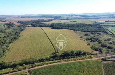 Sítio à venda, 18 alqueires paulistas por r$ 3.500.000 - rural - urai/pr