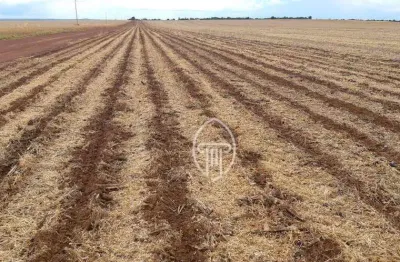 Fazenda à venda, 17000 hectares por r$ 550.000.000 - rural - água boa/mt