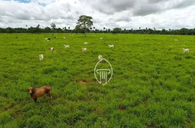 Fazenda à venda, 6470 hectares por r$ 350.000.000 - zona rural - alto araguaia/mt