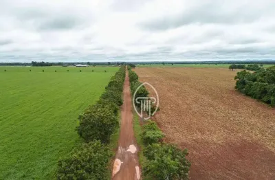Fazenda à venda, 7130 hectares por r$ 300.000.000 - zona rural - buriti de goiás/go