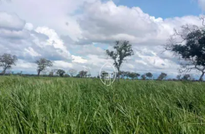 Fazenda à venda, 14.100 hectares por r$ 282.000.000 - rural - rio verde de mato grosso/ms