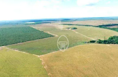 Fazenda à venda, 3584 hectares por r$ 170.000.000 - zona rural - presidente kennedy/to