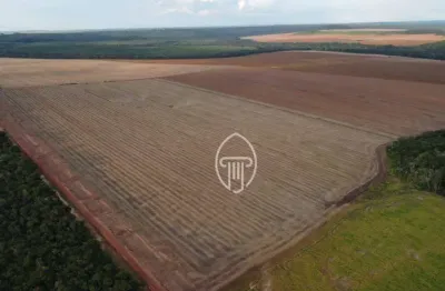 Fazenda à venda, 6402 hectares por r$ 110.000.000 - zona rural - nova mutum/pr