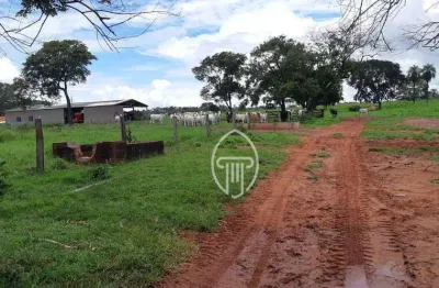 Fazenda à venda, 1600 hectares por r$ 40.000.000 - zona rural - poxoréo/mt