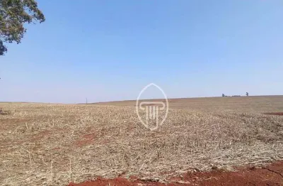 Fazenda à venda, 107 alqueires por r$ 33.000.000 - zona rural - campo mourão/pr