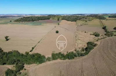 Sítio à venda, 21 alqueires por r$ 6.300.000 - zona rural - ibiporã/pr