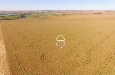 Chácara / sítio à venda na Rua Jonas Gonçalves, 1, Zona Rural, Leópolis