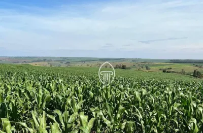 Chácara / sítio à venda na Rodovia Pr 445, 121, Centro, Bela Vista do Paraíso