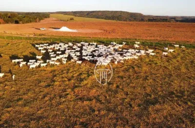 Fazenda à venda na Mt-260, 1111, Centro, Tesouro