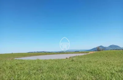 Fazenda à venda na Av. Juscelino Kubitschek, 6, Brasilia, Ibiporã