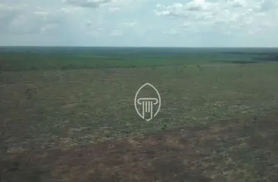 Fazenda à venda, 5000 hectares por R$ 100.000.000 - Zona Rural - São Felix do Araguaia/MT
