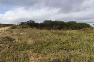Terreno à venda na As Margens Da Br 232, Centro, Pesqueira