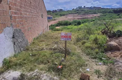 Terreno para venda em pesqueira, loteamento leonardo gomes
