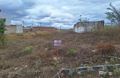 Terreno à venda na Loteamento Miguel Lins De Freitas, Pedra Redonda, Pesqueira