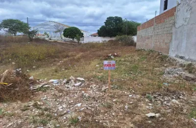 Terreno à venda na Loteamento Miguel Lins De Freitas, s/n, Pedra Redonda, Pesqueira