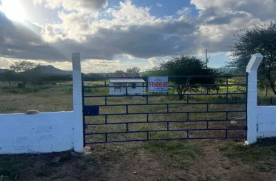 Chácara para venda em pesqueira, central, 2 dormitórios, 1 banheiro