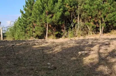 Chácara / sítio à venda em Zona Rural, Rio do Campo 