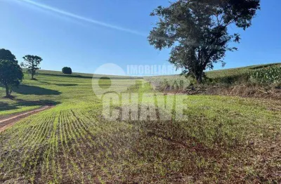 Vende-se sítio de 6 alqueires no distrito espírito santo em londrina - pr
