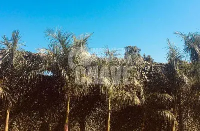 Vende-se chácara no jardim colina verda em londrina - pr