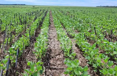 Fazenda à venda na Zona Rural, Marcelândia 