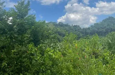 Área para reserva legal com vegetação nativa aluguel / venda  /arrendamento