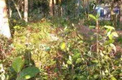 Terreno à venda no Jardim Maramba, Itanhaém 