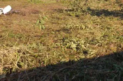Terreno à venda no Cibratel II, Itanhaém 